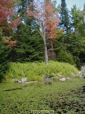 Adamant Pond - Adamant, Vermont