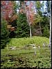 Adamant Pond - Adamant, Vermont