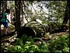 Adamant Pond - Adamant, Vermont