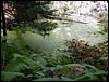 Adamant Pond - Adamant, Vermont