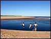 Eastern Kings County
East Point & North Lake, PEI
Prince Edward Island, Canada
August, 2005 - photo by Steve Gallagher