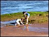 Eastern Kings County
East Point & North Lake, PEI
Prince Edward Island, Canada
August, 2005 - photo by Steve Gallagher