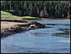 Eastern Kings County
East Point & North Lake, PEI
Prince Edward Island, Canada
August, 2005 - photo by Steve Gallagher
