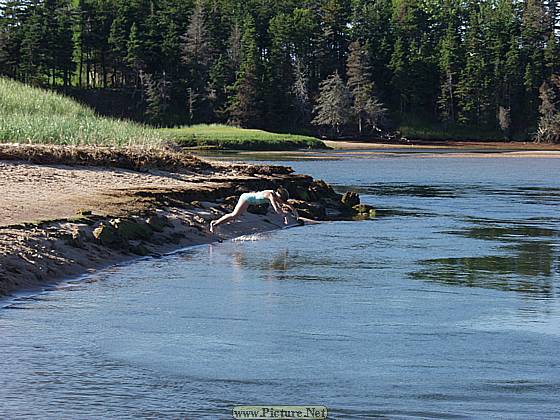 Eastern Kings County
East Point & North Lake, PEI
Prince Edward Island, Canada
August, 2005 - photo by Steve Gallagher