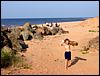 Eastern Kings County
East Point & North Lake, PEI
Prince Edward Island, Canada
August, 2005 - photo by Steve Gallagher