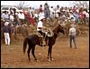 DesMontes, Michoacan
Mexico 2004