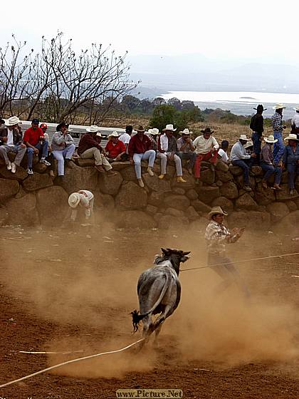 DesMontes, Michoacan
Mexico 2004