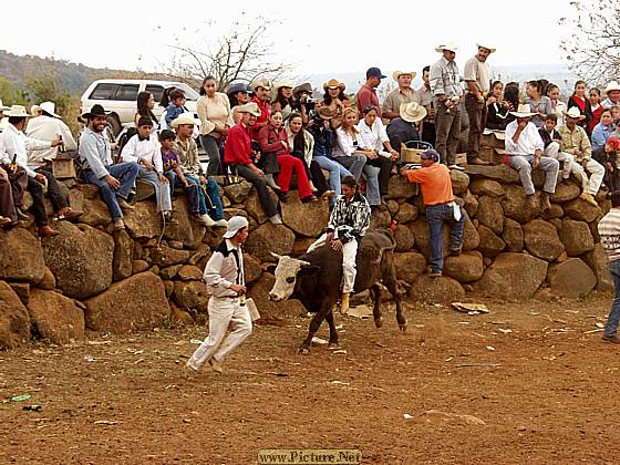 DesMontes, Michoacan
Mexico 2004