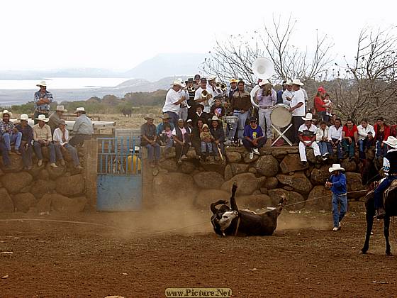 DesMontes, Michoacan
Mexico 2004