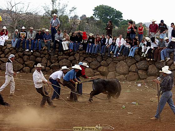 DesMontes, Michoacan
Mexico 2004