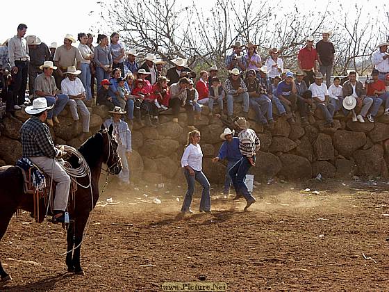 DesMontes, Michoacan
Mexico 2004