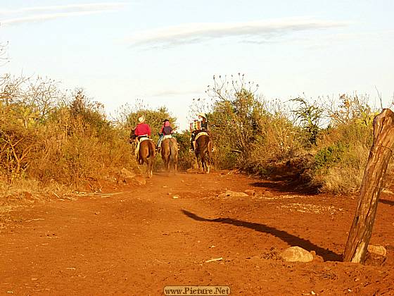 DesMontes, Michoacan
Mexico 2004