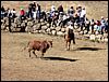 La Luz Rodeo
La Luz, Michoacan, Mexico
January, 2004