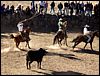 La Luz Rodeo
La Luz, Michoacan, Mexico
January, 2004