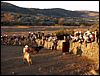 La Luz Rodeo
La Luz, Michoacan, Mexico
January, 2004