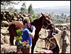 Villa Morelos,
Michoacan, Mexico
2004