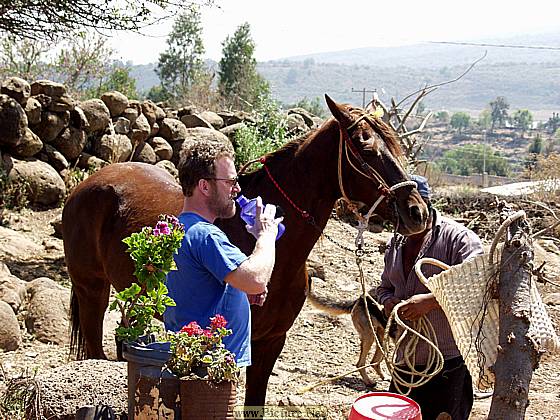 Villa Morelos,
Michoacan, Mexico
2004