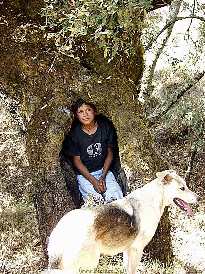 Villa Morelos,
Michoacan, Mexico
2004