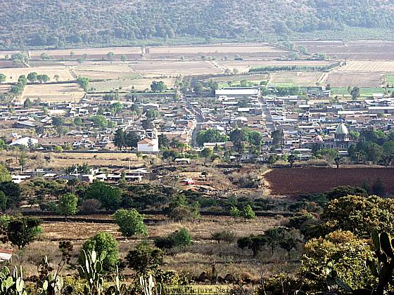 Villa Morelos,
Michoacan, Mexico
2004