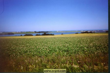 North Lake, PEI