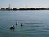 on Conch Key, Florida