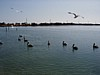 on Conch Key, Florida