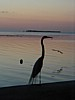 on Conch Key, Florida