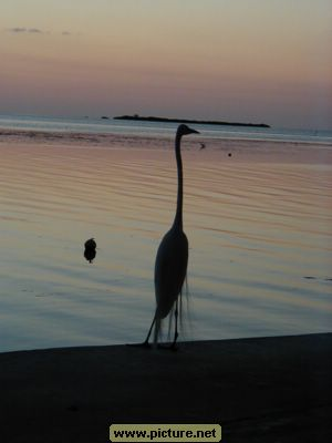 on Conch Key, Florida