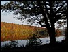 Oct. 2001, at the Curtis Pond swimming area