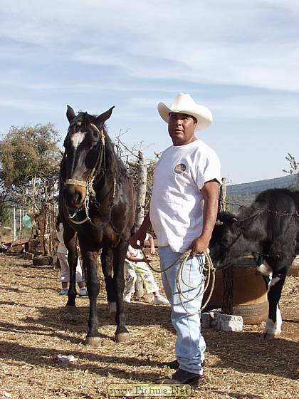 Michoacan, Mexico
Dec. 2004 & Jan. 2005