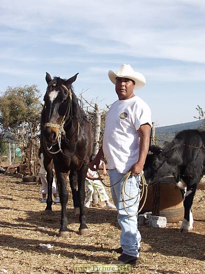 Michoacan, Mexico
Dec. 2004 & Jan. 2005