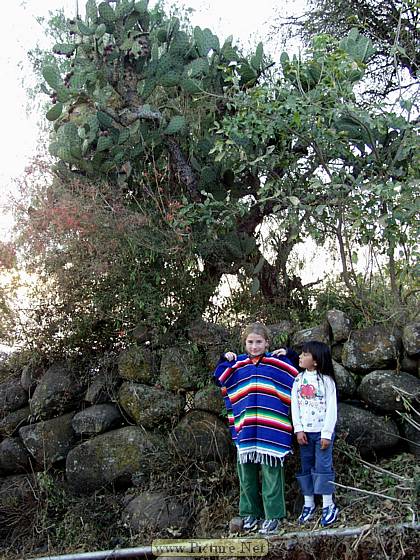 Michoacan, Mexico
Dec. 2004 & Jan. 2005