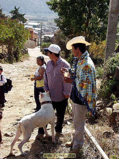 Michoacan, Mexico
Dec. 2004 & Jan. 2005