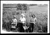 Picking Berries