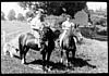 at Ira Morse Farm, Count Rd.