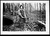 Cutting wood on Ira Morse Farm