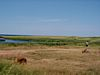 Big Pond, PEI