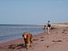 East Lake Creek Beach, PEI