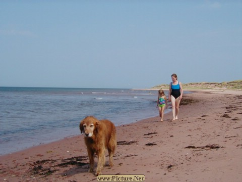 East Lake Creek Beach, PEI