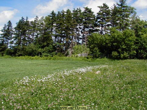 Fields above North Lake