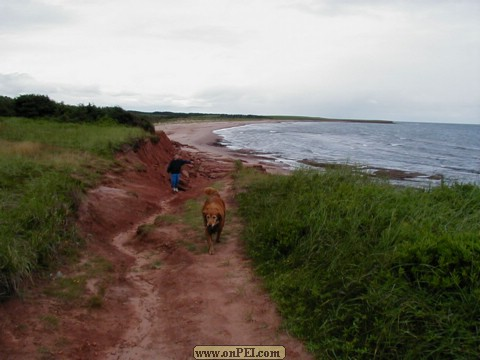 Path to the beach