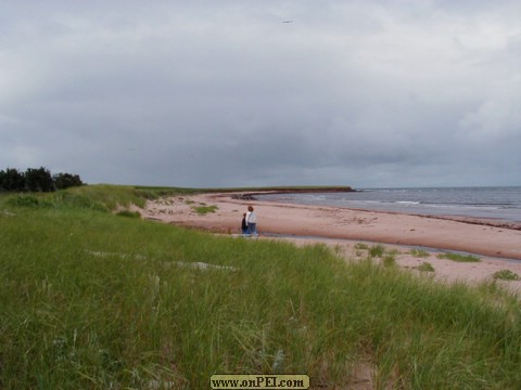 The beach between east Point and Beaton Point