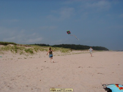 Mossy's Beach