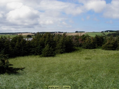 The dunes between South Lake and the Ocean