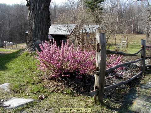 P4270001.JPG