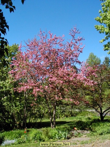 P5200018.JPG